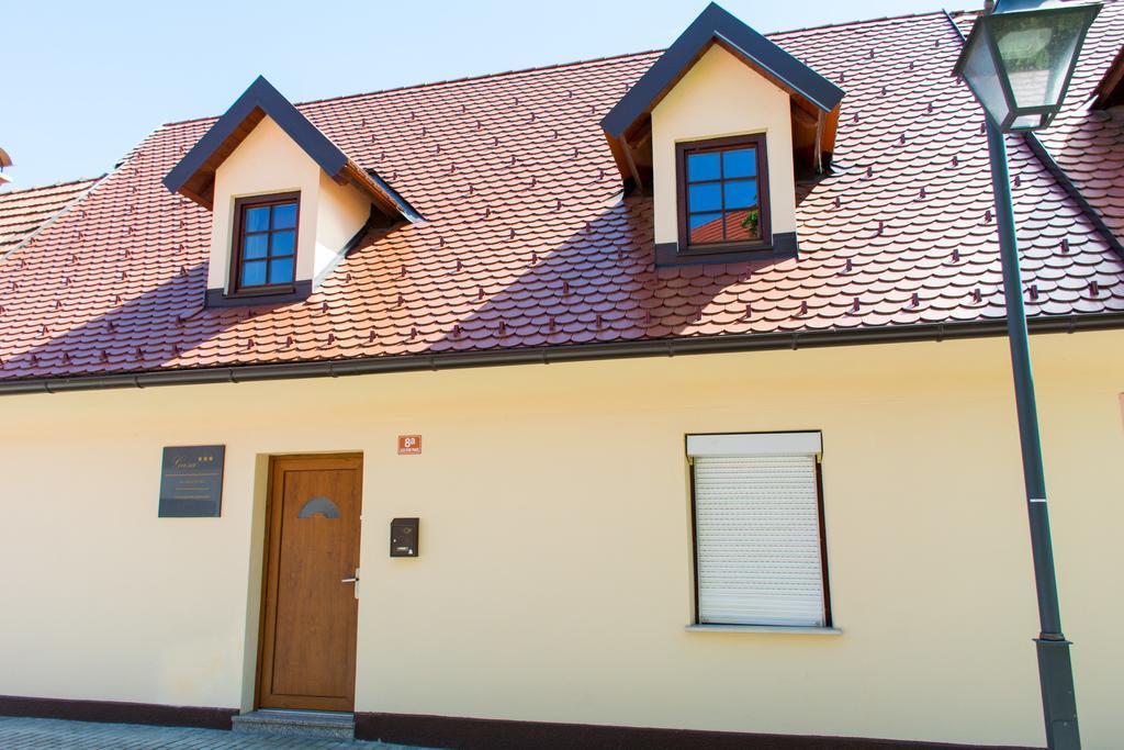 Apartment Gasa Brežice Exteriör bild